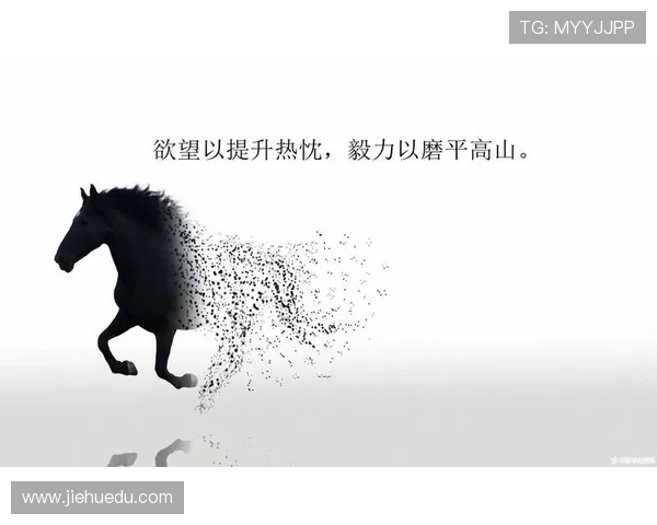 乒乓球的热爱与坚持刘军的奋斗人生深度对话 乒乓球的热爱与坚持刘军的奋斗人生深度对话