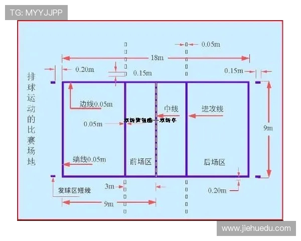 南京排球队技术分析与发展策略探讨聚焦排球竞技新趋势