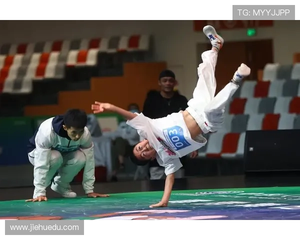 南京街舞队在世界滑板锦标赛中的战术表现与创新分析