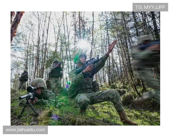 南京飞盘队边路渗透战术革新探索与实践分析