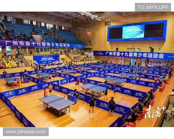 广州乒乓球队的控制技巧与训练方法深度解析