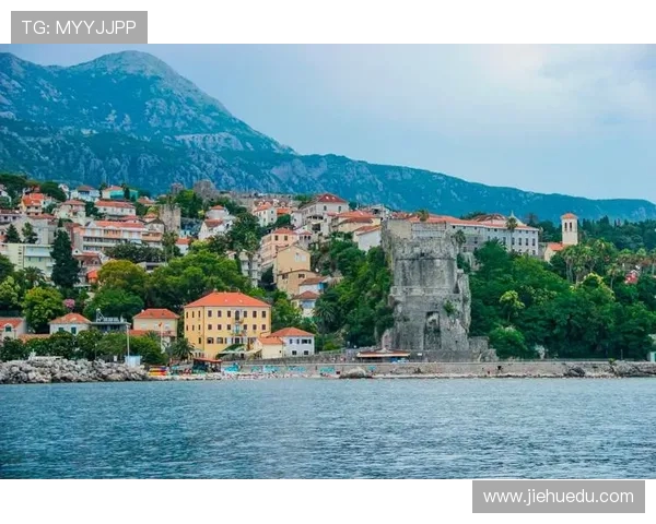 塞尔维亚与黑山女足精彩对决视频直播全程回顾与精彩瞬间分析