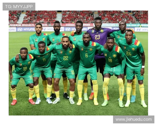 非洲杯激战喀麦隆对决强敌展现足球激情与荣耀之路