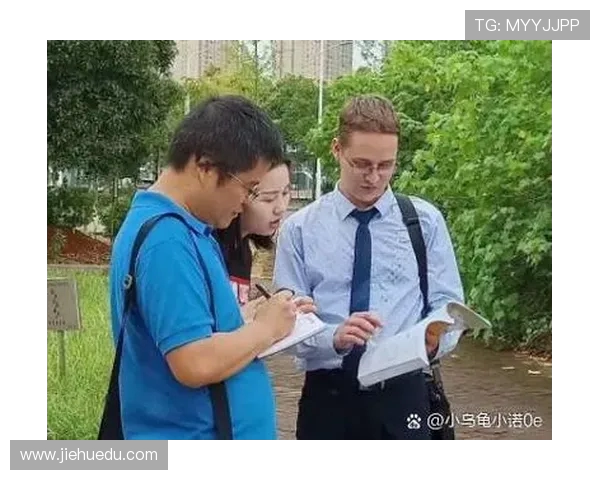 麦国民与麦独立的历史交锋与未来展望探讨