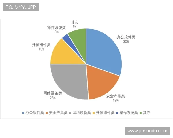 南京飞盘队战术解析与实战应用的深度探讨与思考
