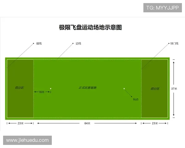 成都飞盘队的阵地战策略与战术解析探秘飞盘运动的魅力与挑战