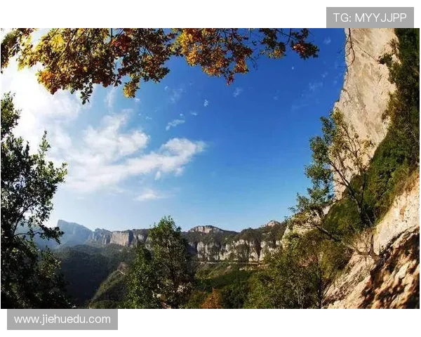 杭州攀岩队的成功运营模式与发展策略深度解析